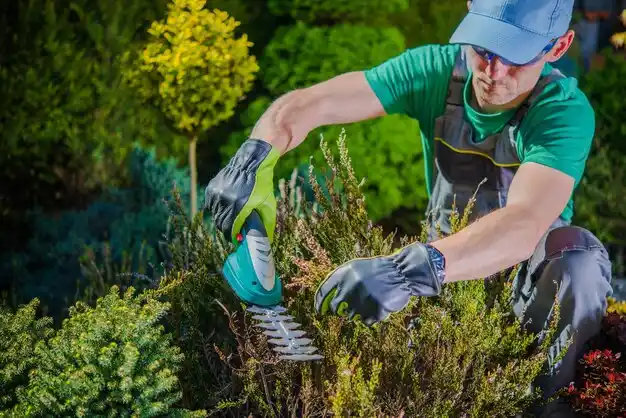 landscaping services Milton